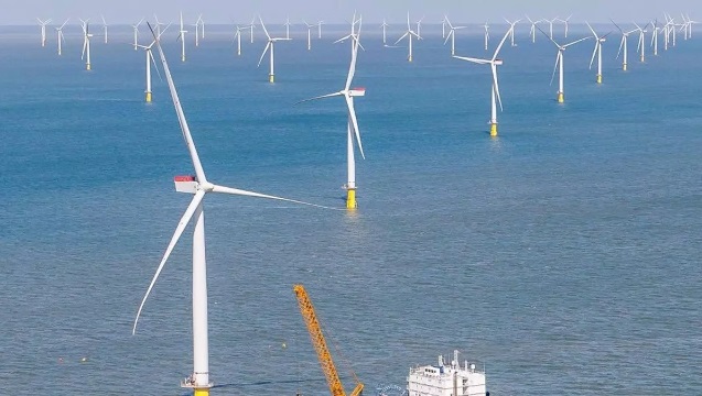 La Plataforma por el Mar Canario, contra la ordenación del espacio marítimo