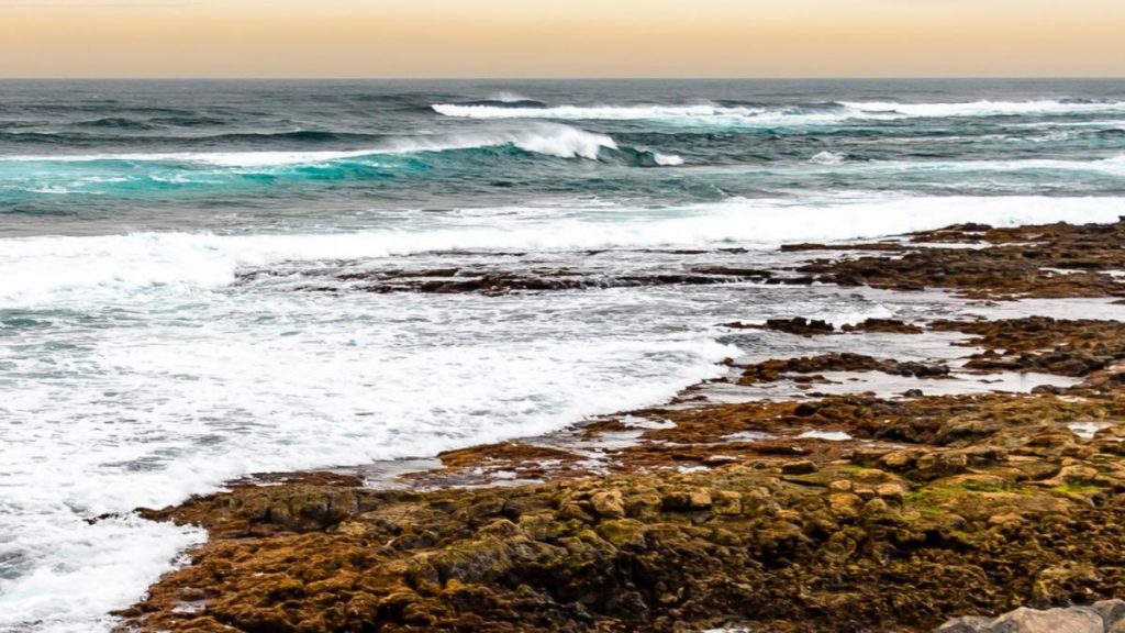 CCOO Canarias firma un acuerdo con la plataforma por el Mar Canario